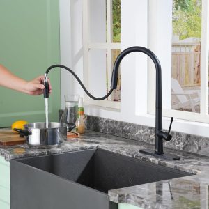 CASAINC Kitchen-Faucet, Simple Kitchen Faucet with Pull Down Sprayer-Out Kitchen Sink Offers Efficient Cleaning for Kitchen Laundry Utility Rv Wet Bar -with Deck Plate -Brushed Nickel